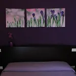 Oda ve Kahvaltı Fanzago